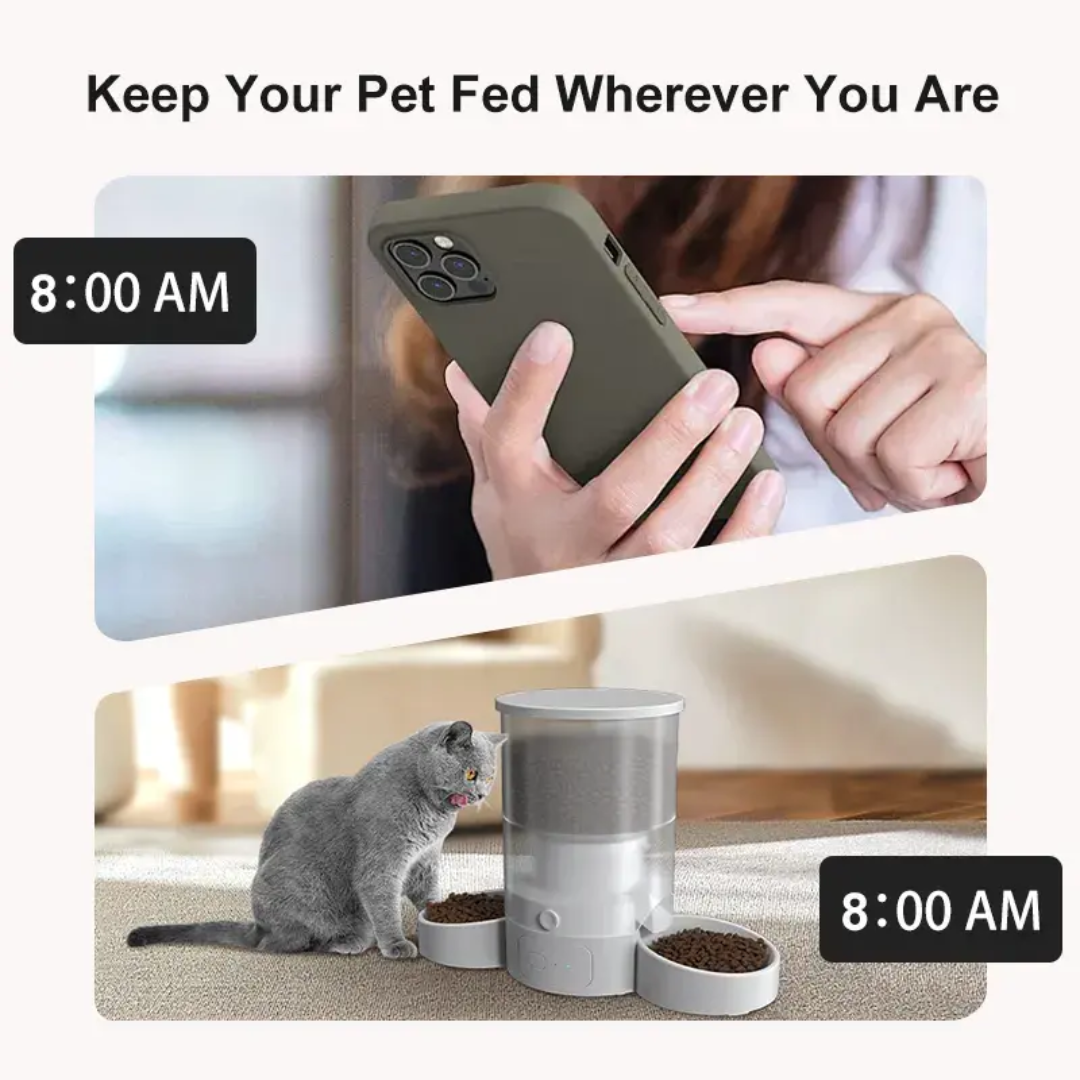 Outdoor Power With Timer - Elecpet Tuya Smart WiFi Automatic Pet